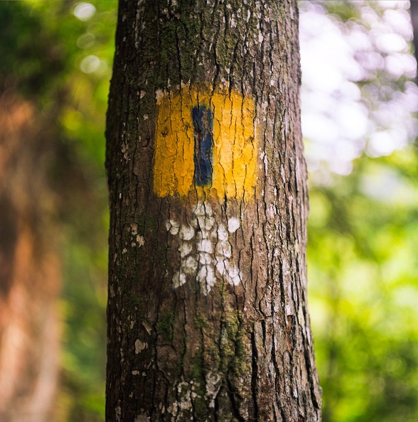 11_Cumberland Falls in June_ 2010.jpg